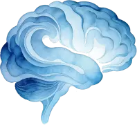 Brain image