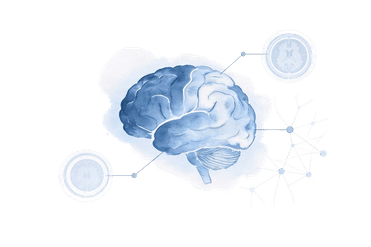brain img