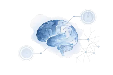 brain img