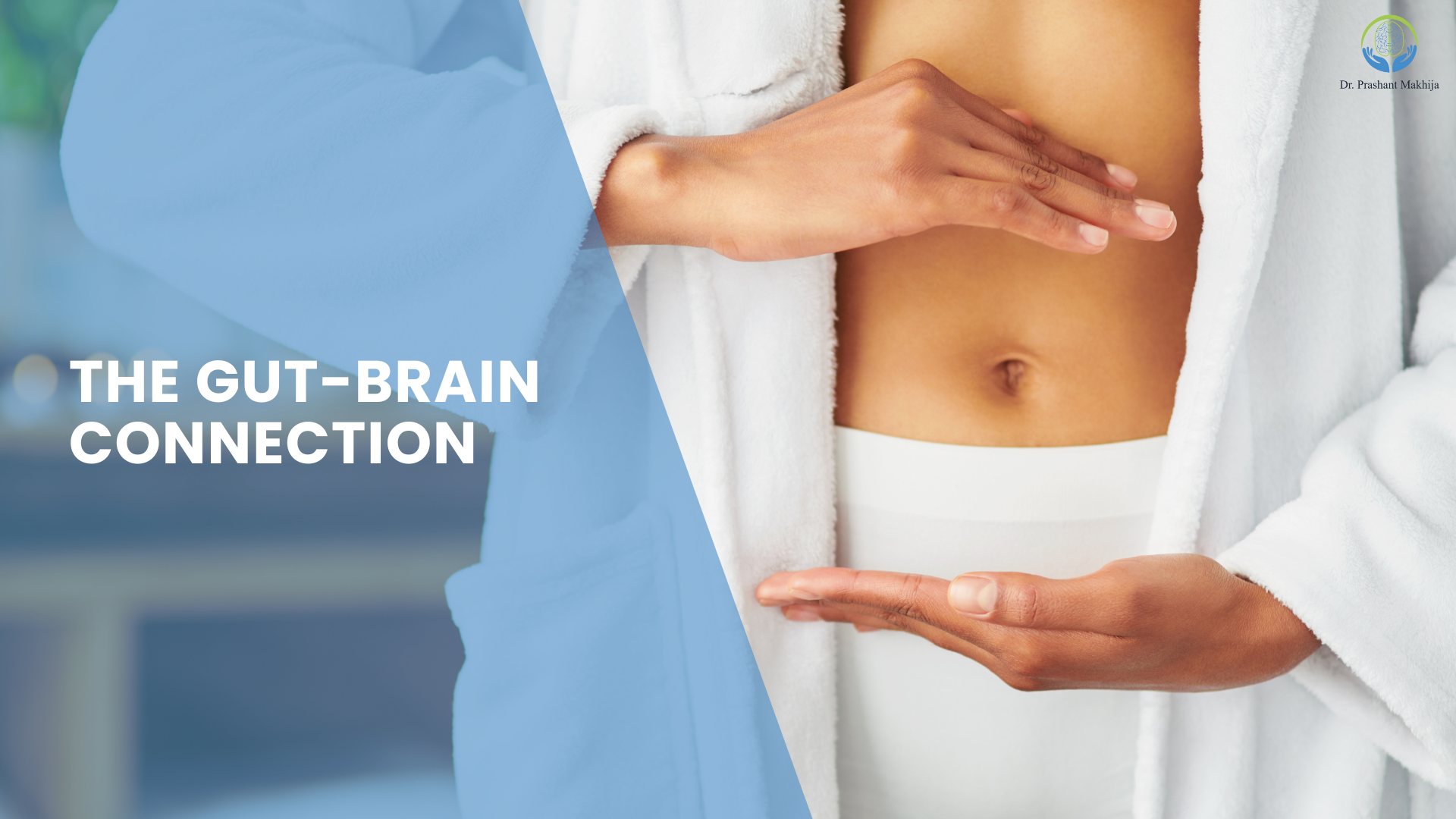 Read more about the article The Gut-Brain Connection: Understanding Your Body’s Hidden Communication Network